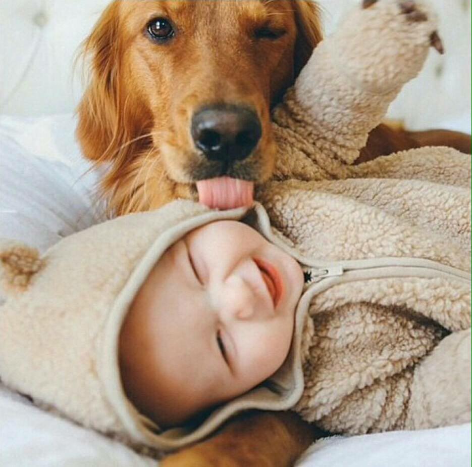 Resultado de imagen para perros y bebÃ©s