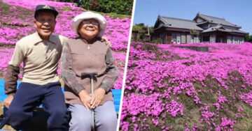 Este hombre plantó miles de flores en su jardín para que su esposa ciega saliera de la depresión