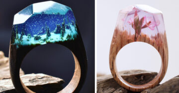 20 Anillos de madera que esconden un mundo maravilloso que querrás tener en tus manos