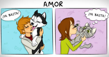 14 Divertidas ilustraciones que comprueban la diferencia entre tener un perro y tener un gato