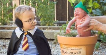Bella sesión de un Harry Potter bebé y una linda mandrágora llorona se vuelve VIRAL