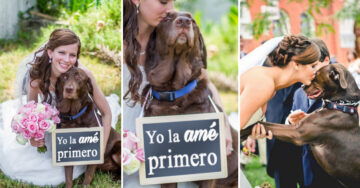 25 Fotos que demuestran por qué tu perro debe ser tu acompañante principal el día de tu boda