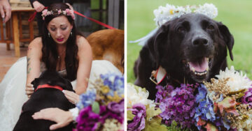 Este perro tenía un tumor cerebral, pero vivió lo suficiente para ver a su dueña casarse