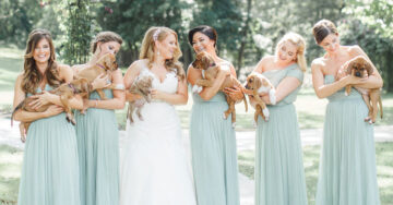 Esta pareja impone moda al soltar el ramo de flores para tomar adorables perritos el día de su boda