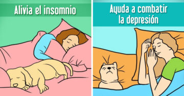 7 Razones por las cuales tu perro debe dormir en tu cama desde ahora y para siempre