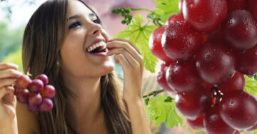 10 Razones por las que deberías comer uvas todos los días