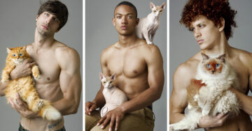 Fotógrafo captura imágenes de modelos posando con gatos. ¡Son la perfección hecha realidad!