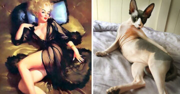 20 divertidos gatos que posaron como chicas pin-up