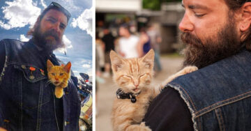 Rudo motociclista salva a un gatito de morir y ahora son compañeros de viaje