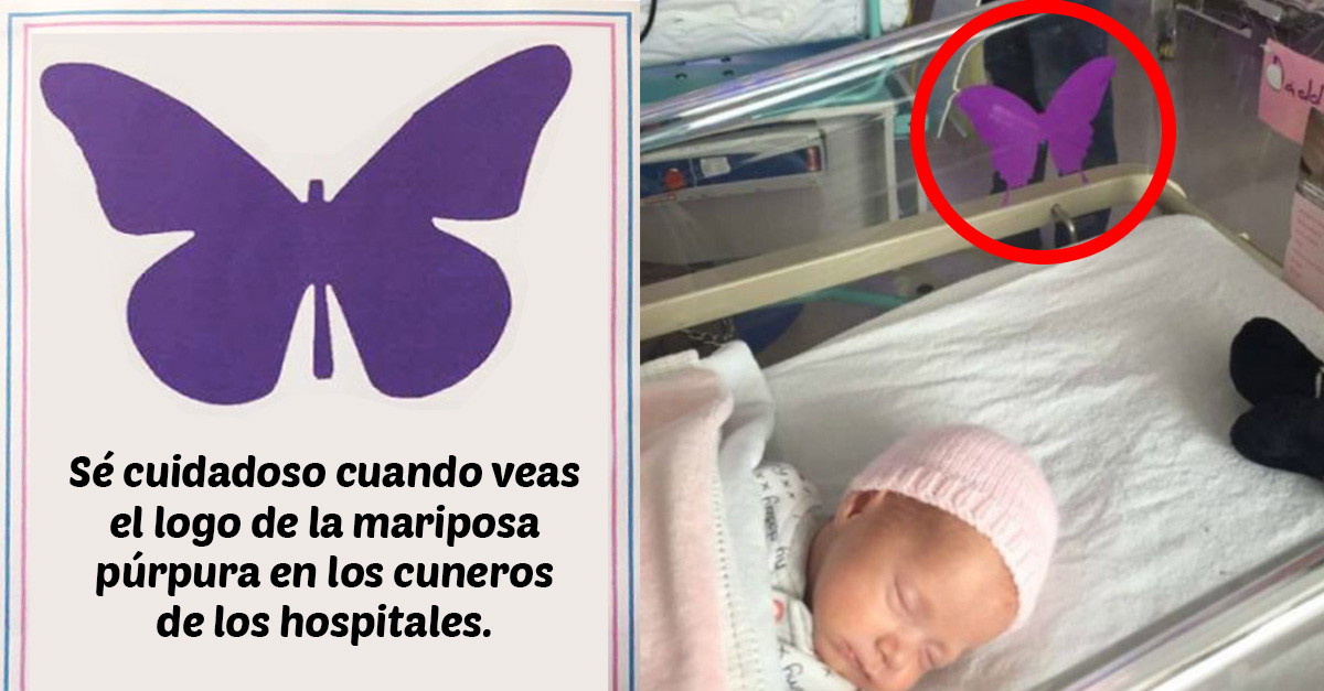 Este es el significado de la mariposa púrpura en los cuneros