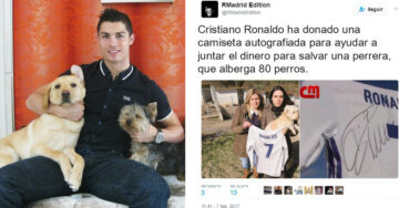 Cristiano Ronaldo rescata 80 perritos y se convierte en el héroe que todas soñamos