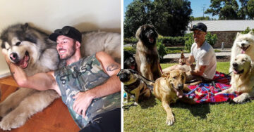 Este sexi austaliano tiene una sola misión: rescatar tantos perros como pueda
