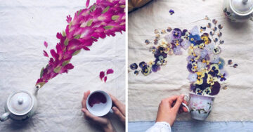 Artista usa flores y tazas de té para crear los más encantadores escenarios