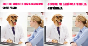 20 Geniales memes del ‘Doctor Perro’; curará tu aburrimiento mejor que el Paracetamol