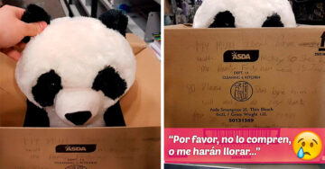 Este niño dejó una nota en un panda de peluche que no pudo comprar; Internet muere de amor