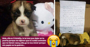 Niña tuvo que abandonar a su perrita; le deja 8 pesos y una triste carta de despedida