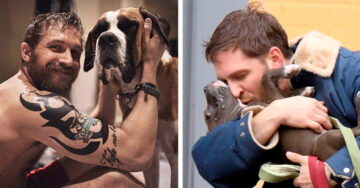 25 Fotos que demuestran el amor de Tom Hardy por los perros… y el nuestro por él