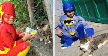 Niño se disfraza para ayudar a los gatos callejeros; cree que es un superhéroe para ellos