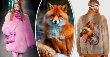 Gucci está salvando vidas animales: a partir de ahora sus prendas serán de piel sintética