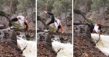 Intenta pose de yoga sobre un tronco… Y el resultado fue TODO menos un momento ‘zen’