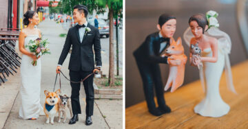 Novios crean figuras de pastel con sus mascotas y ahora todas queremos un pastel de bodas igual