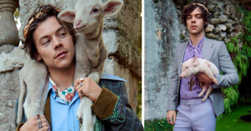 Harry Styles y animalitos de granja protagonizan la campaña MÁS tierna y fashionista