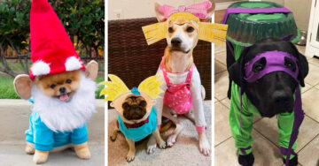 22 Divertidos disfraces para pedir dulces junto a tu perro en Halloween