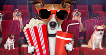 ¡Prepara las palomitas! Ahora puedes ir al cine en compañía de tu perrito