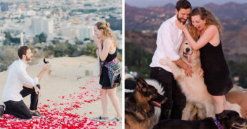Le propuso matrimonio con ayuda de 16 perros; ¡imposible decir no!