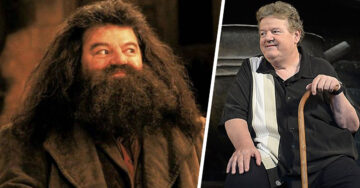 ‘Hagrid’ ahora está en silla de ruedas a causa de la osteoartritis