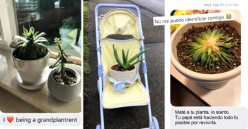 Estas plantas disfrutaron el mejor día de su vida cuando su “abuela” tuvo que cuidarlas