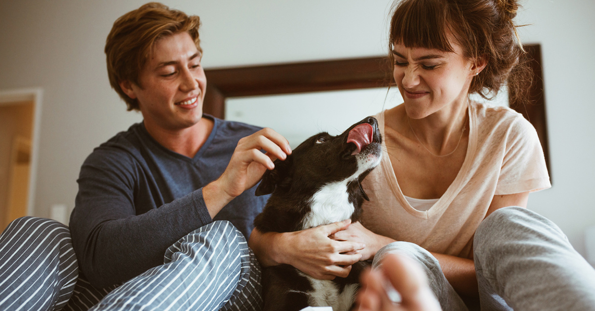 El 86% terminarÃ­a una relaciÃ³n con quien no acepte a su perro