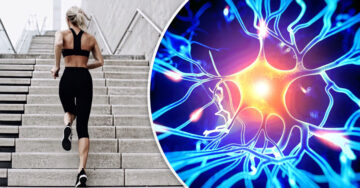 Hacer ejercicio podría ayudar a crear nuevas neuronas, afirma estudio