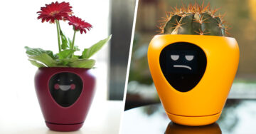 Maceta convierte tus plantas en un tamagotchi de la vida real