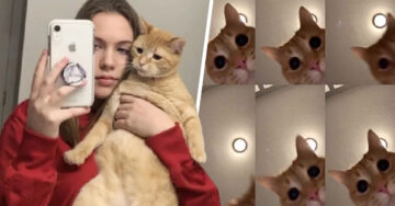 Chica hace el TikTok más gracioso de Internet y su gato se convierte en una celebridad