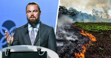 Fundación de Leonardo DiCaprio dona 5 mdd para apoyar por incendios en la Amazonia