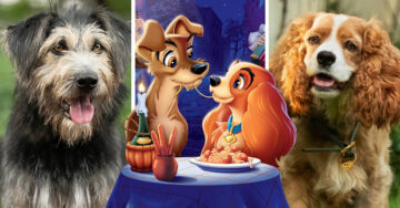 Disney revela el reparto humano y canino del live action de ‘La Dama y el Vagabundo’