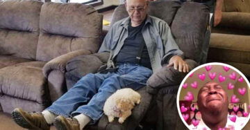 Abuelito lleva a su perro a elegir un sofá para los dos