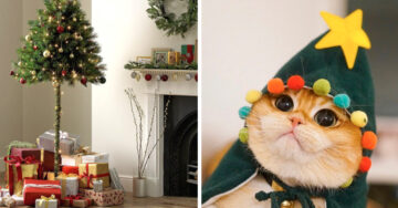 Venden pino navideño “a la mitad” para que tus gatos no lo destruyan