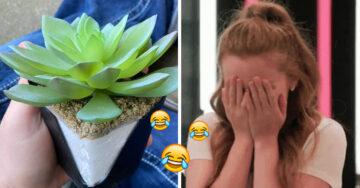 Mujer descubre que su planta es de plástico después de cuidarla dos años