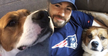 Chris Evans no es perfecto… y su error al tratar de cortarle el pelo a su perro lo comprueba