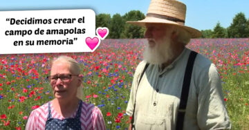 Pareja planta un campo de amapolas en memoria de su hijo fallecido