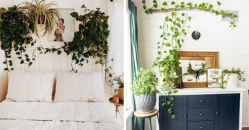 13 Lindas ideas para decorar tu casa con enredaderas