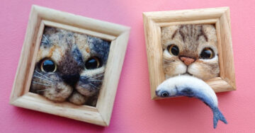 Crea minicuadros de gatitos ‘asomándose’ y los necesitamos ahora mismo