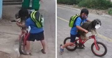 Niño pone cubrebocas a su perrito para ir a la tienda y que no se contagie