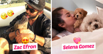 23 Celebridades que adoptaron mascotas de la calle o de refugios