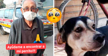 Abuelito de 84 años recorre cientos de kilómetros buscando a su perrito