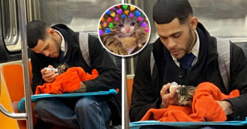 Hombre alimentando a gatito callejero en el metro restaura la fe en la humanidad