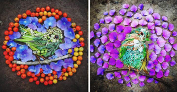 Artista convierte flores, ramas y hojas en hermosos retratos de aves