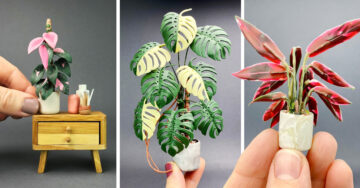 Artista crea plantitas miniatura con arcilla que robarán tu corazón